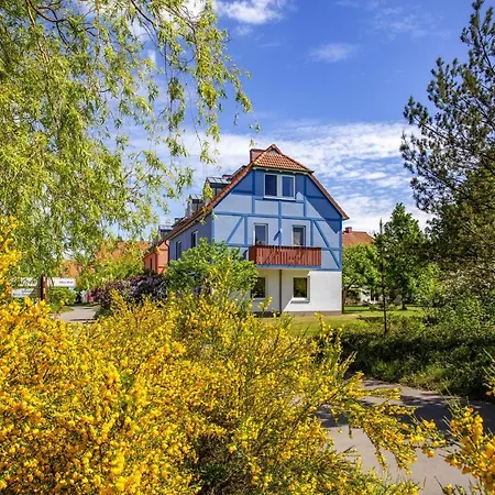 Holiday Beech Fleesensee Gohren-lebbin - Dms02131-dyb Lejlighed *
